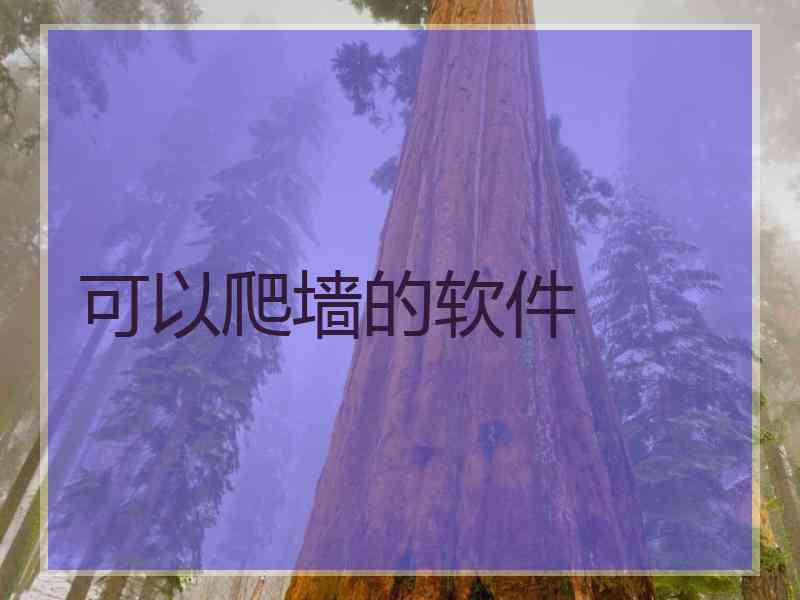 可以爬墙的软件