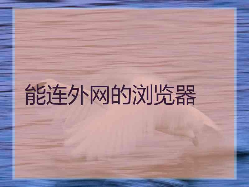 能连外网的浏览器