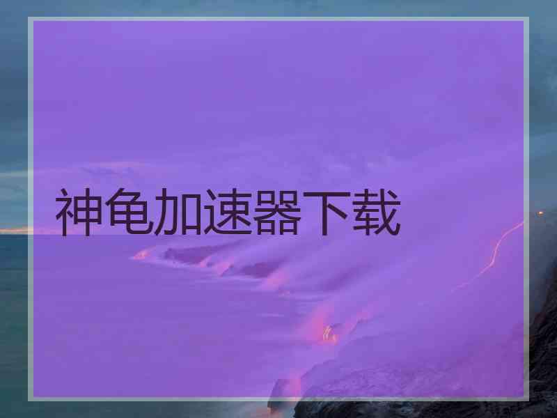 神龟加速器下载