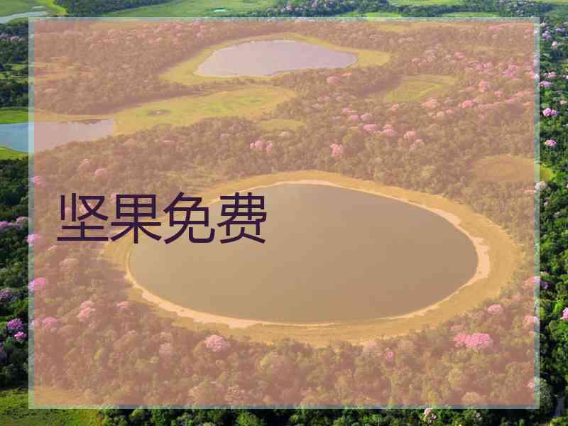坚果免费