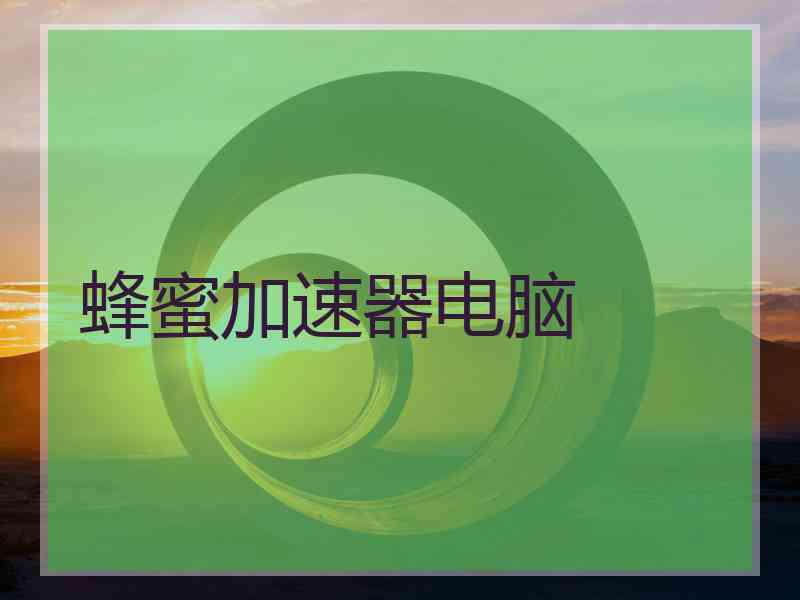 蜂蜜加速器电脑