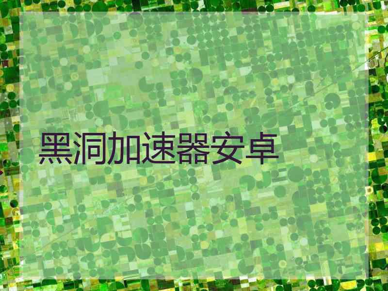 黑洞加速器安卓