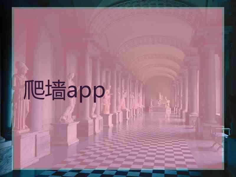 爬墙app