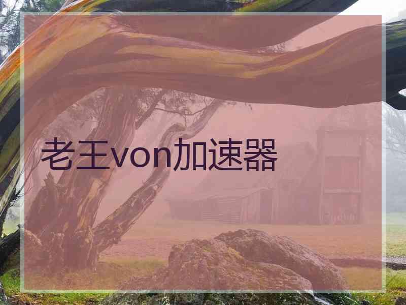 老王von加速器