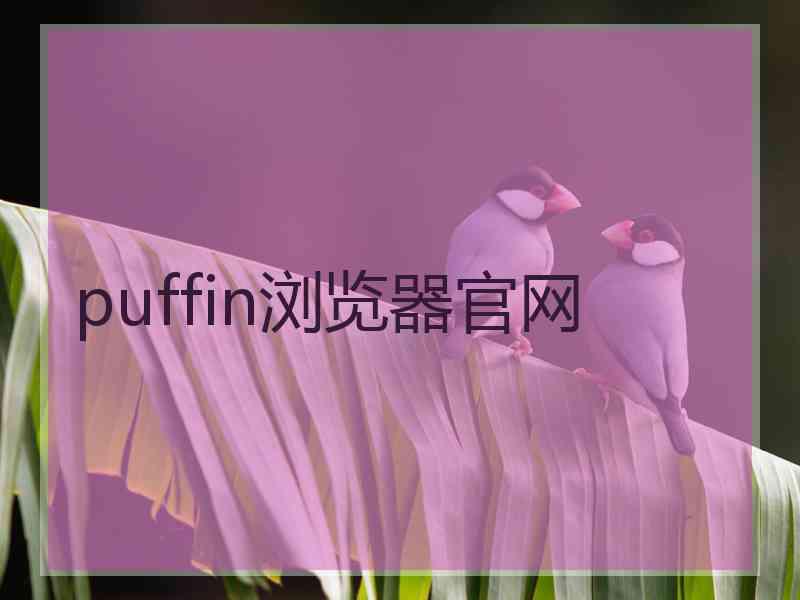 puffin浏览器官网