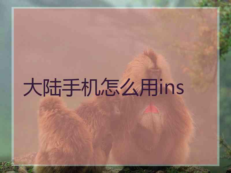大陆手机怎么用ins