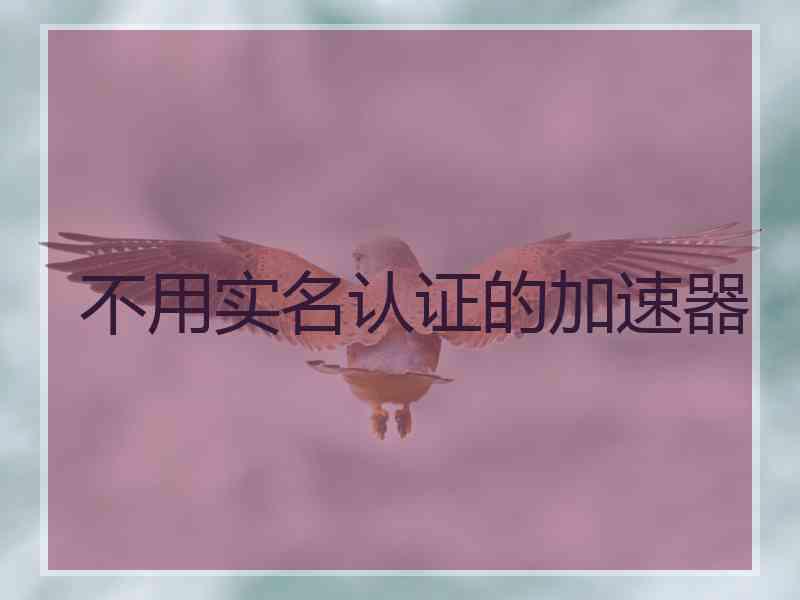 不用实名认证的加速器