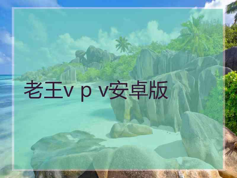 老王v p v安卓版