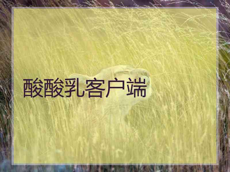 酸酸乳客户端