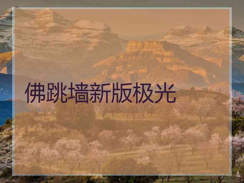 佛跳墙新版极光