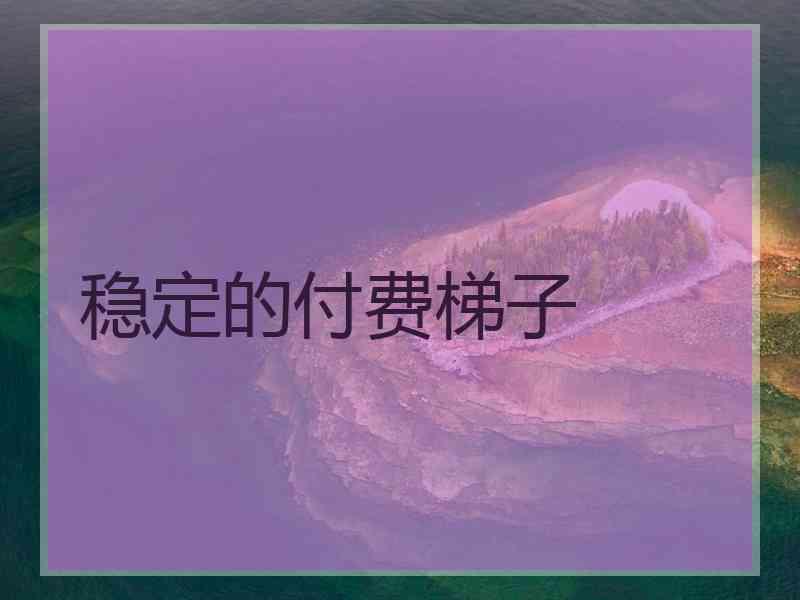 稳定的付费梯子