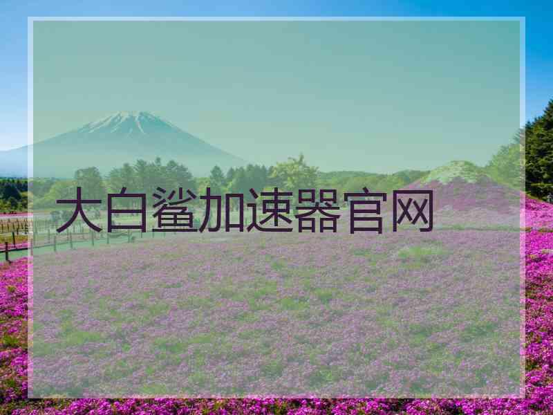 大白鲨加速器官网