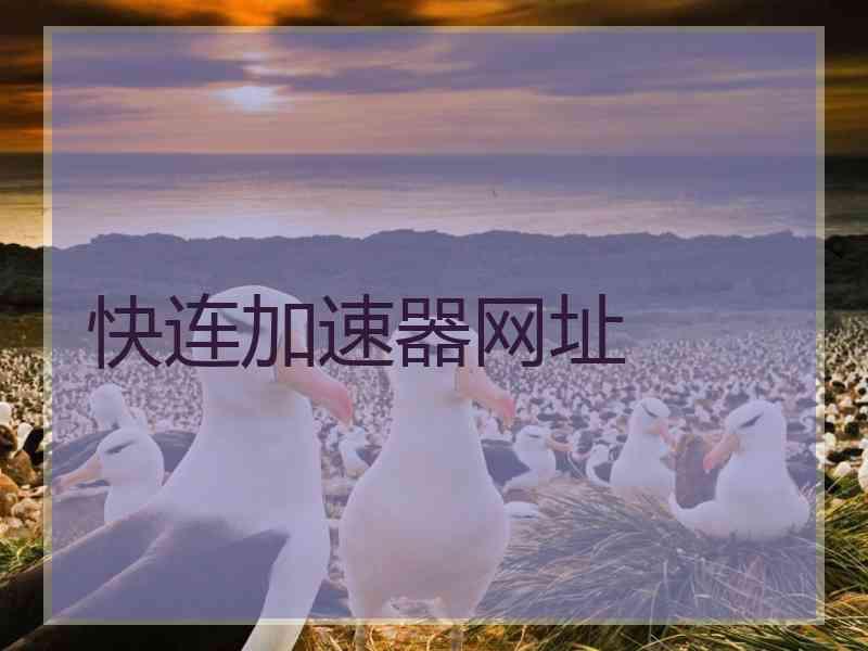 快连加速器网址