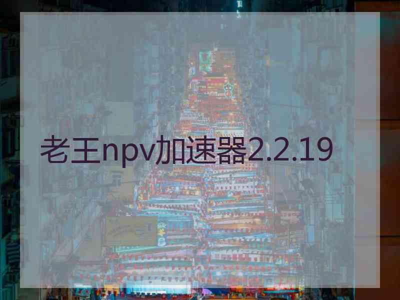 老王npv加速器2.2.19