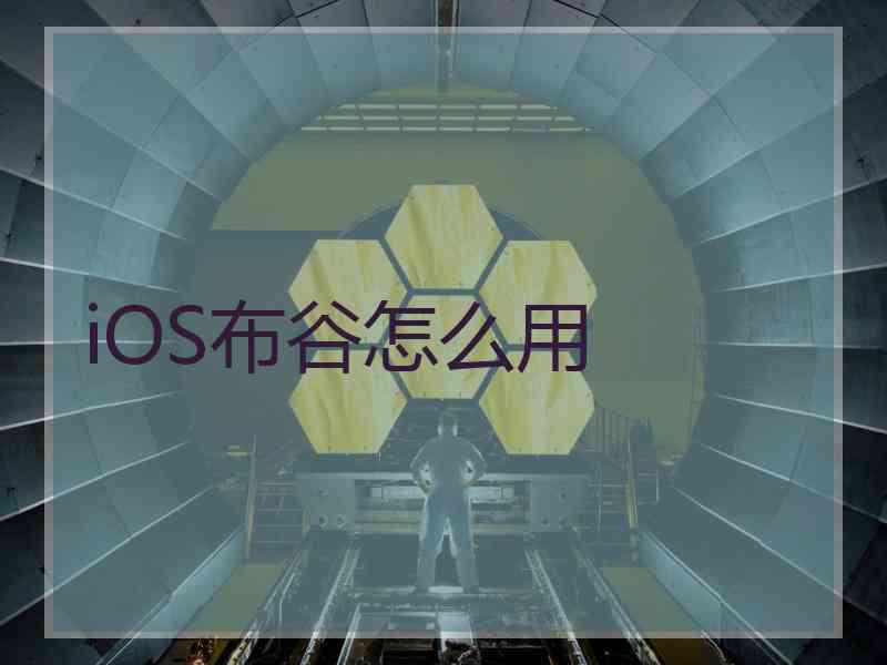 iOS布谷怎么用