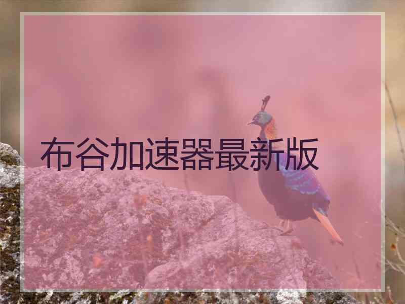 布谷加速器最新版