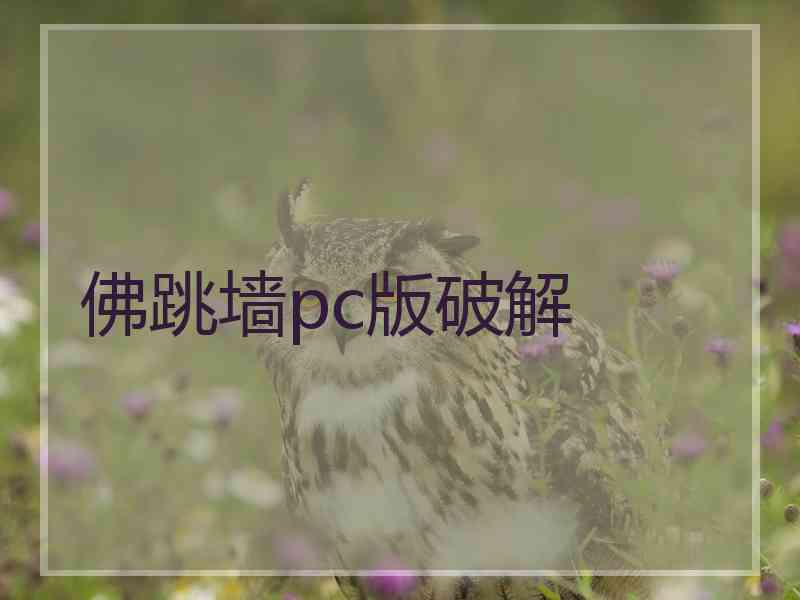 佛跳墙pc版破解