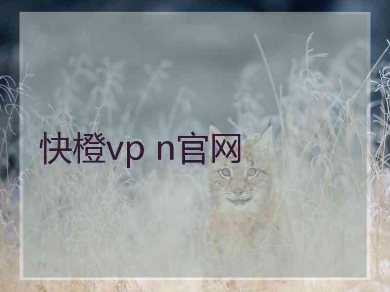 快橙vp n官网