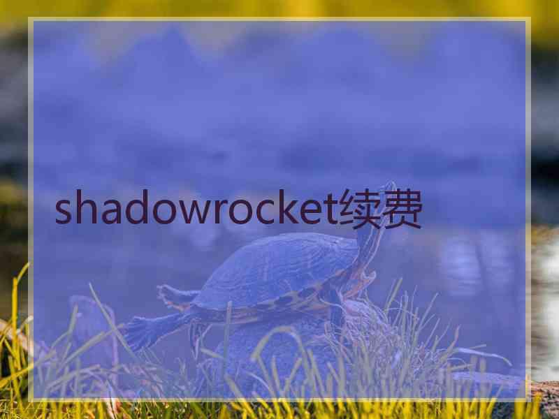 shadowrocket续费
