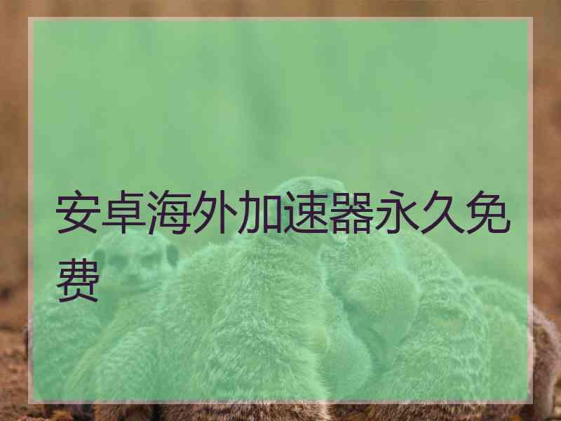 安卓海外加速器永久免费