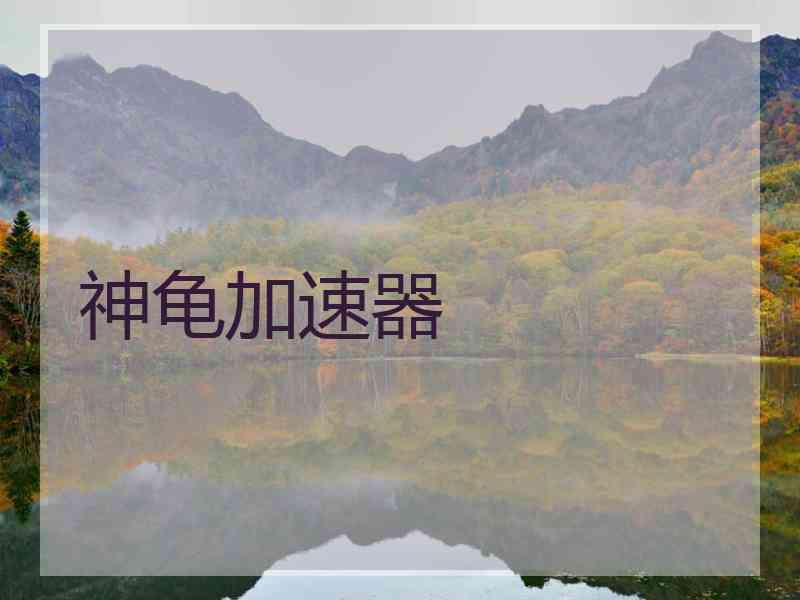 神龟加速器