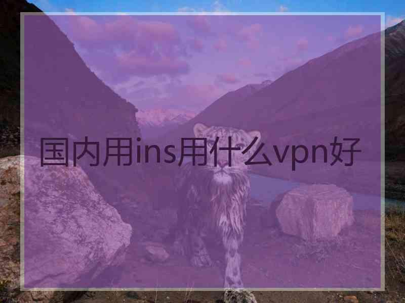 国内用ins用什么vpn好