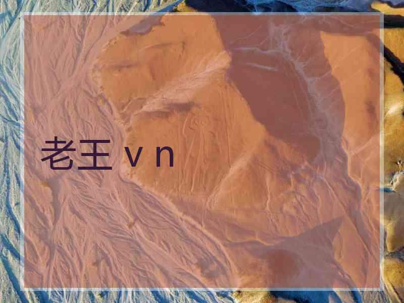老王 v n