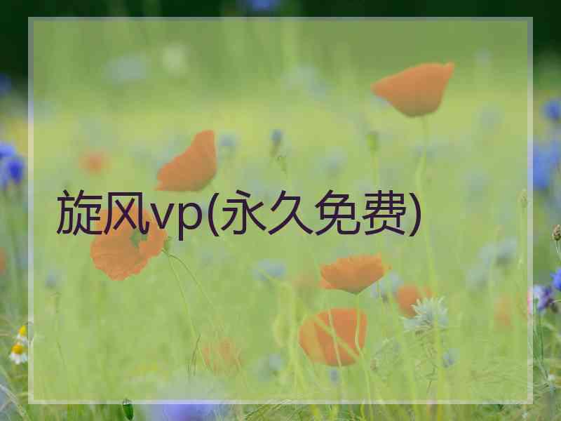 旋风vp(永久免费)