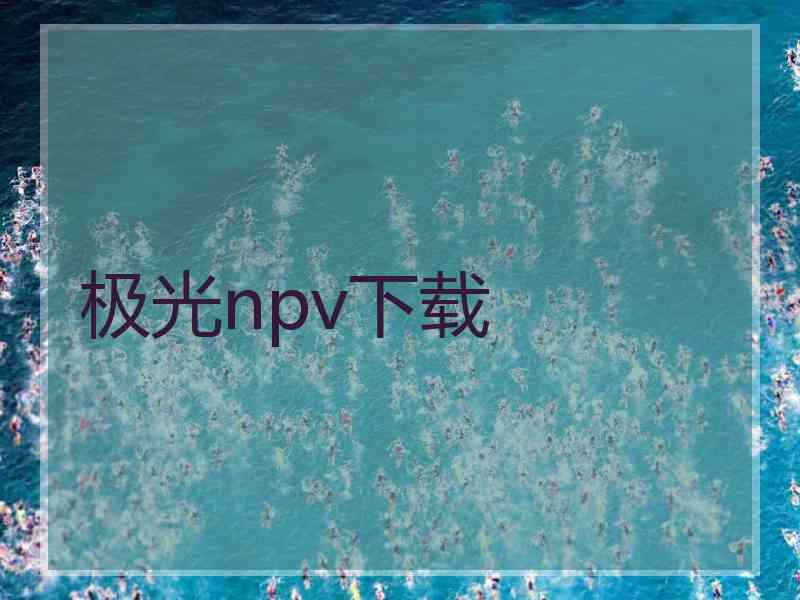 极光npv下载