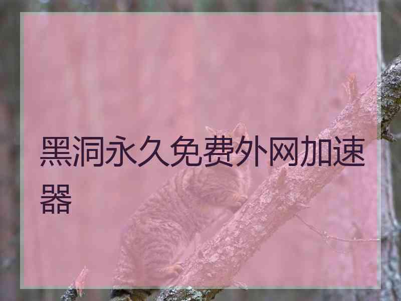黑洞永久免费外网加速器
