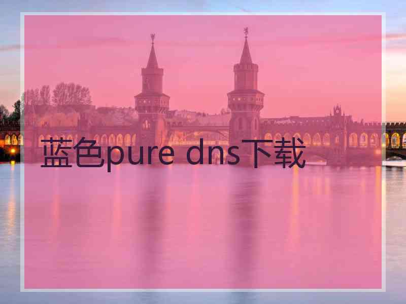 蓝色pure dns下载