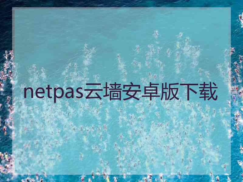 netpas云墙安卓版下载