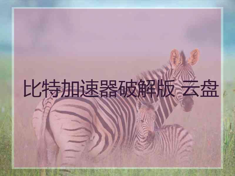 比特加速器破解版 云盘