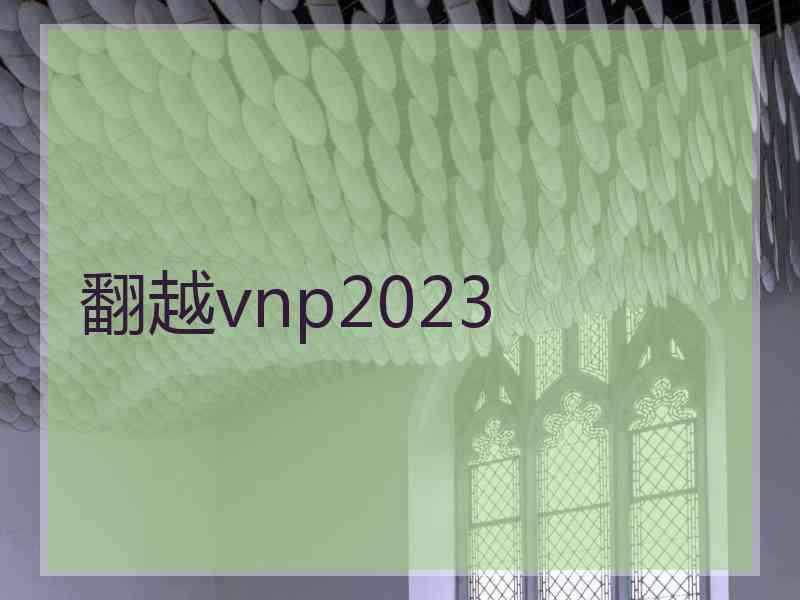 翻越vnp2023