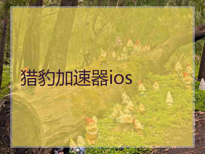 猎豹加速器ios