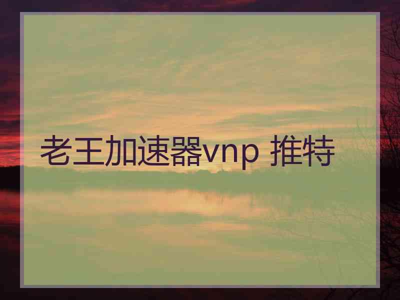 老王加速器vnp 推特
