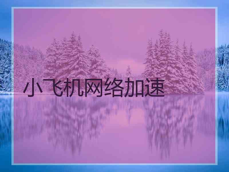 小飞机网络加速