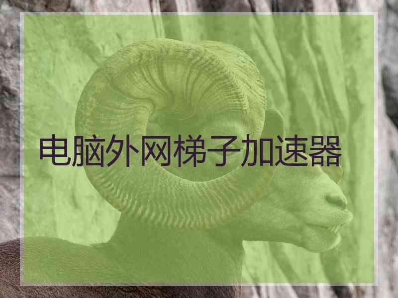 电脑外网梯子加速器