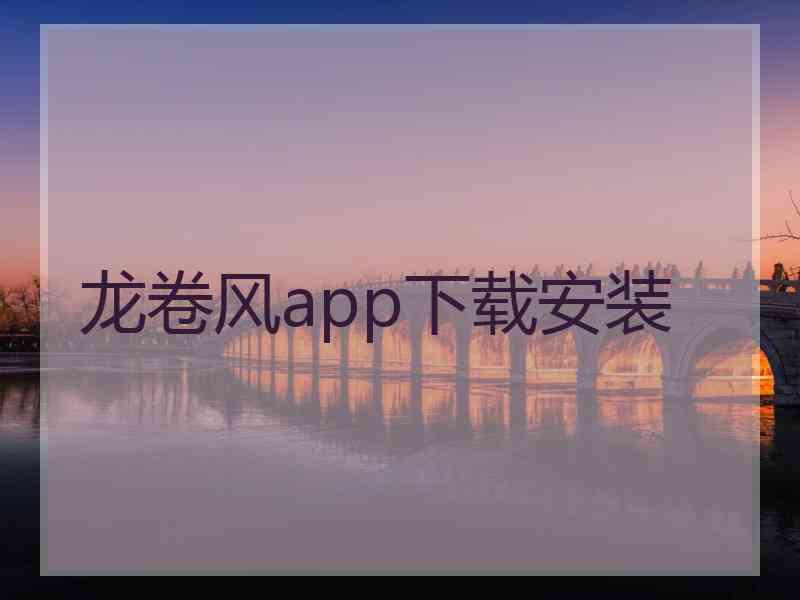 龙卷风app下载安装