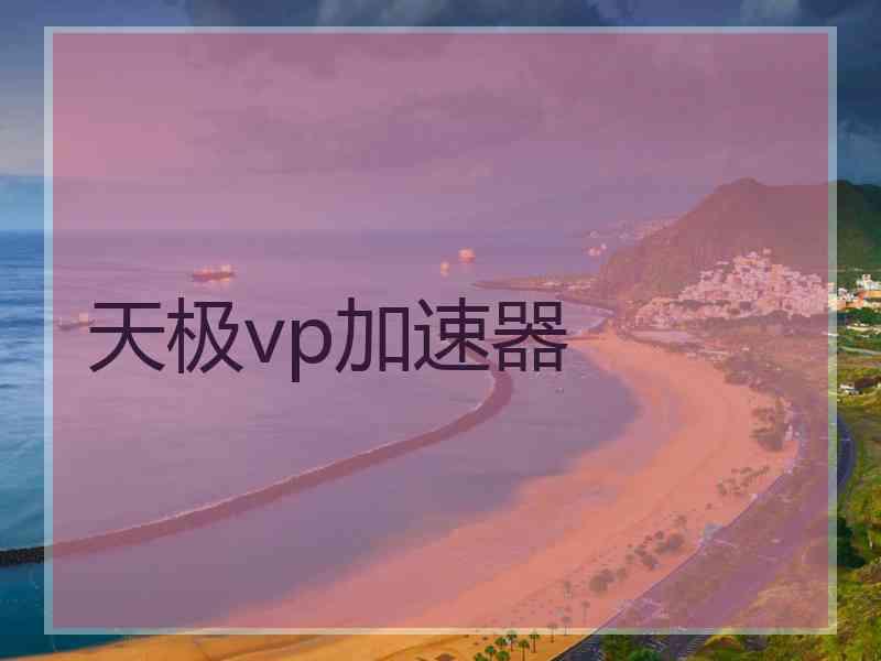 天极vp加速器
