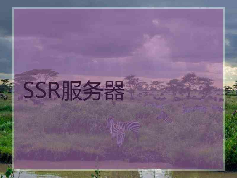 SSR服务器