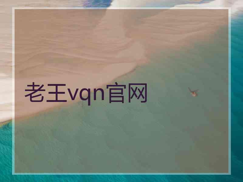 老王vqn官网