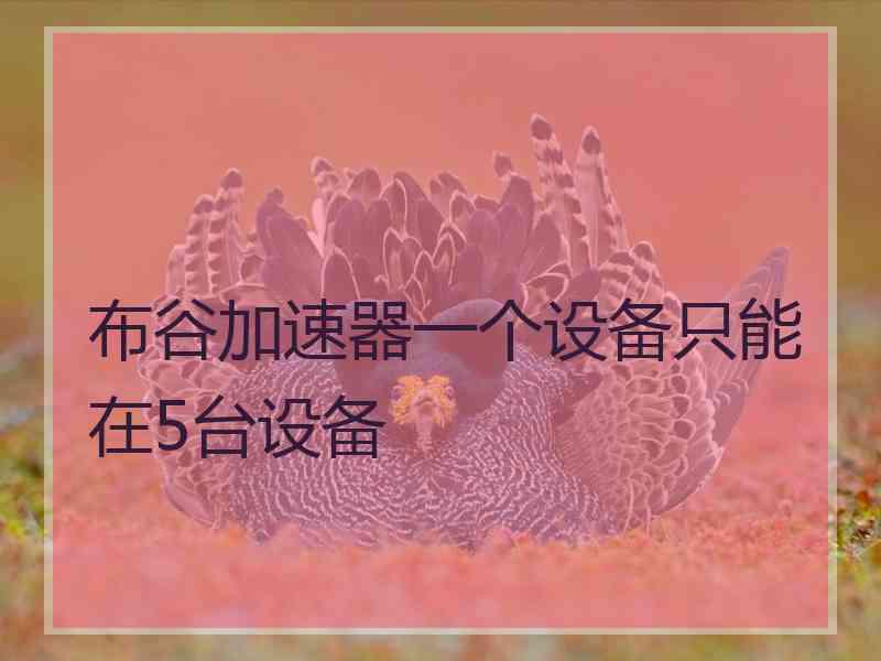 布谷加速器一个设备只能在5台设备