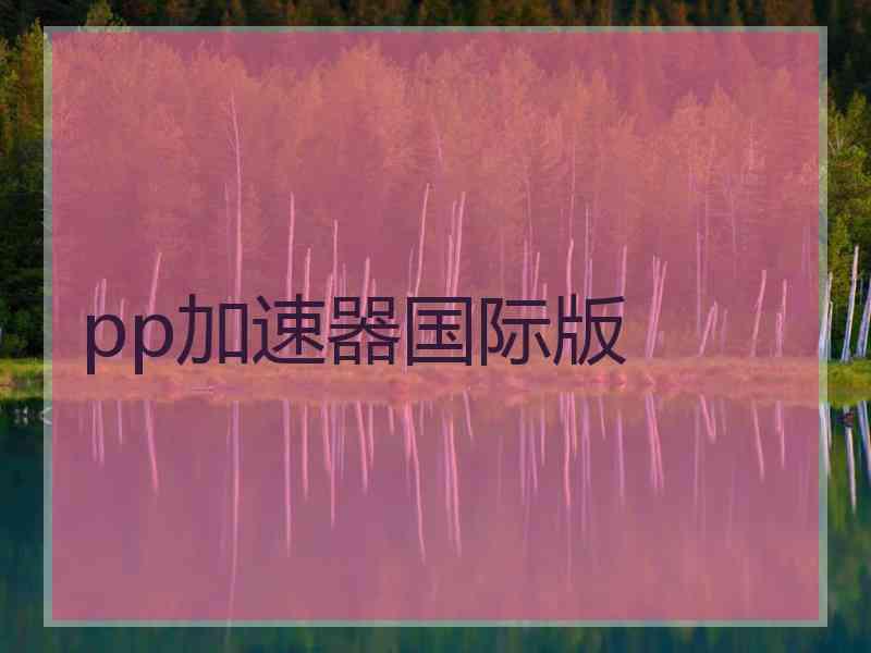 pp加速器国际版