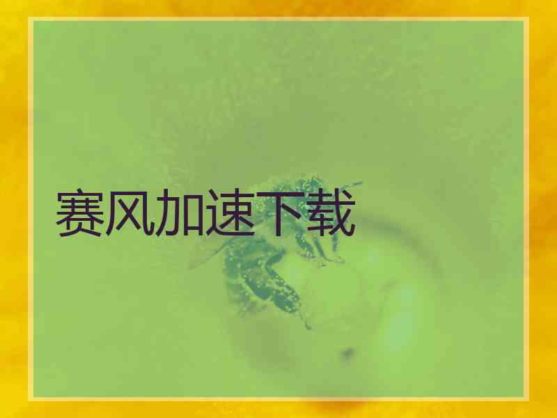 赛风加速下载