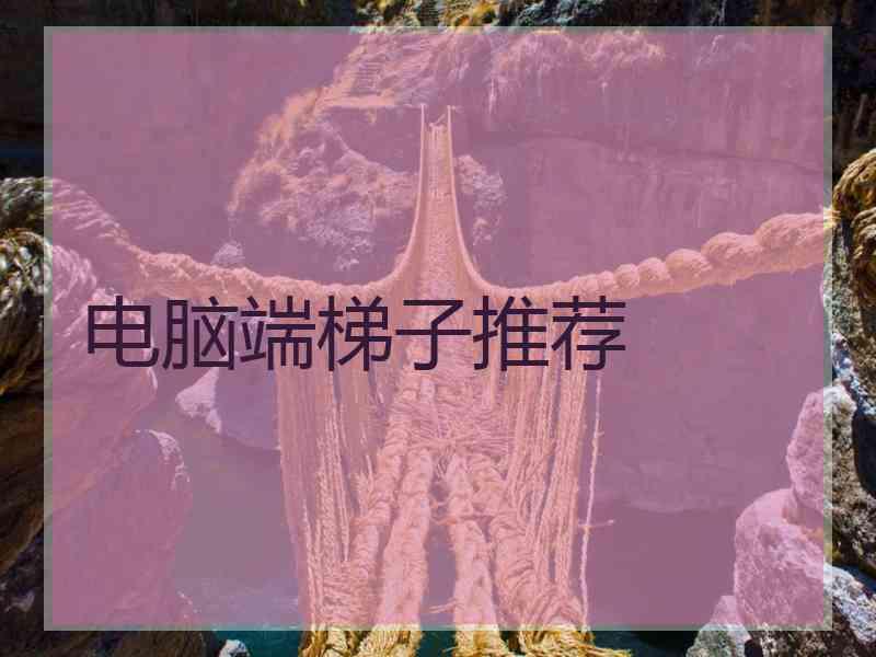 电脑端梯子推荐