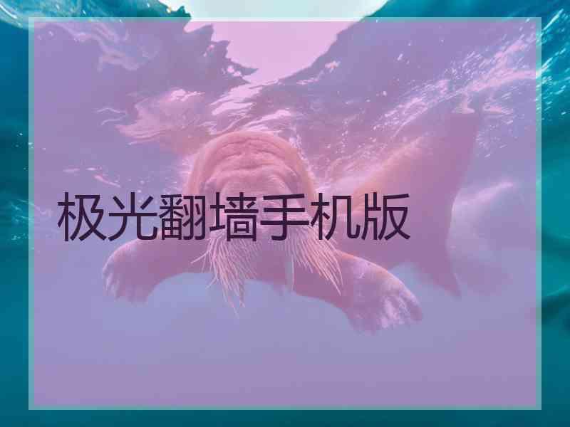 极光翻墙手机版
