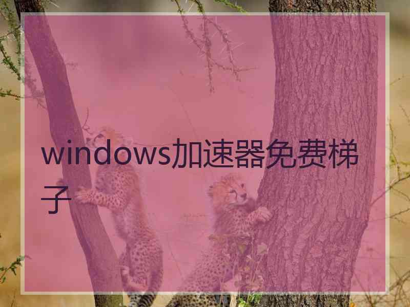 windows加速器免费梯子