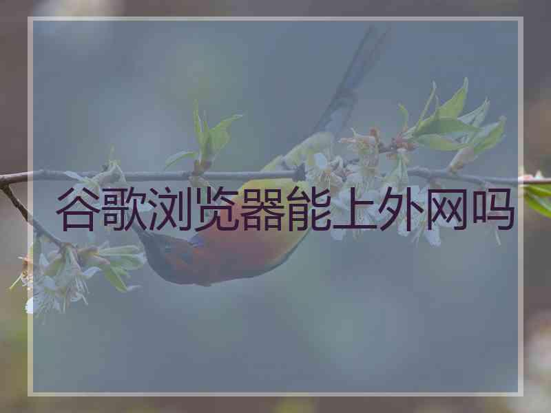 谷歌浏览器能上外网吗