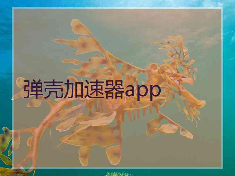 弹壳加速器app